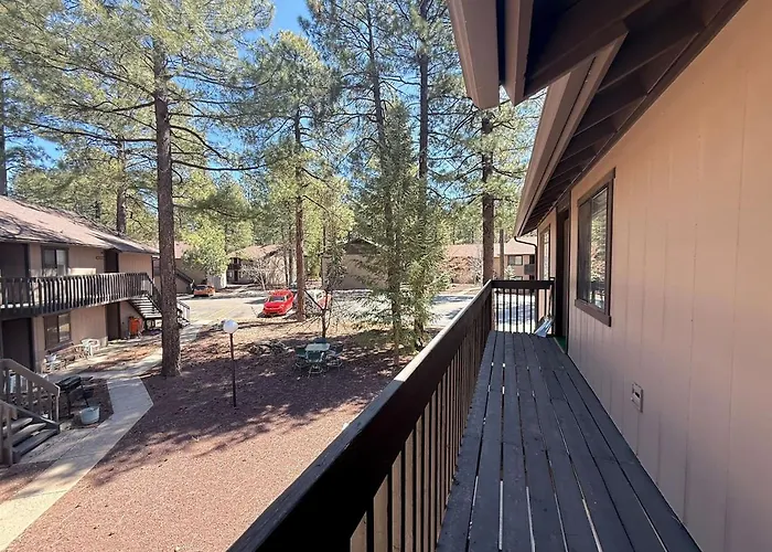 Sports Village, 1 Bedroom 1 Ba, Studio, Kitchenette