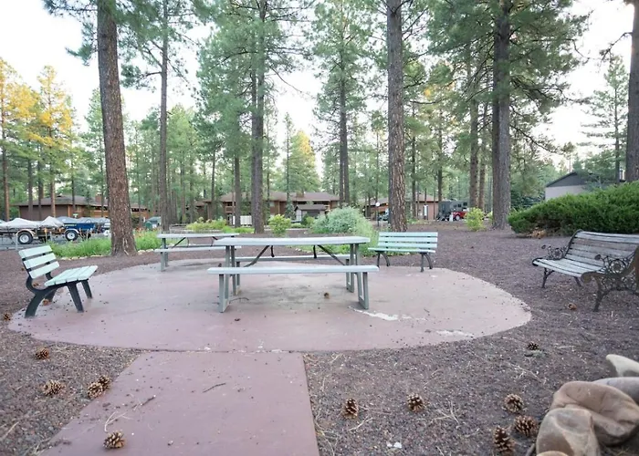 Sports Village, 1 Bedroom 1 Ba, Studio, Kitchenette Holiday home Indian Pine