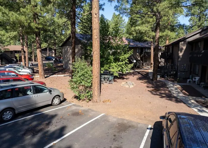 Sports Village, 1 Bedroom 1 Ba, Studio, Kitchenette